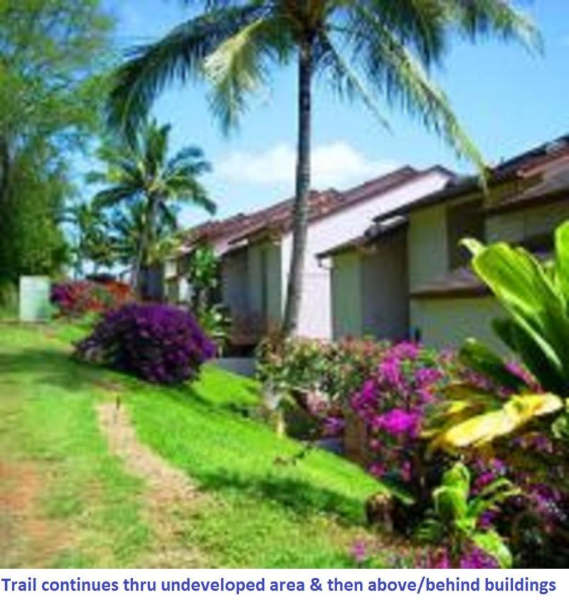 Banyan Harbor 3*